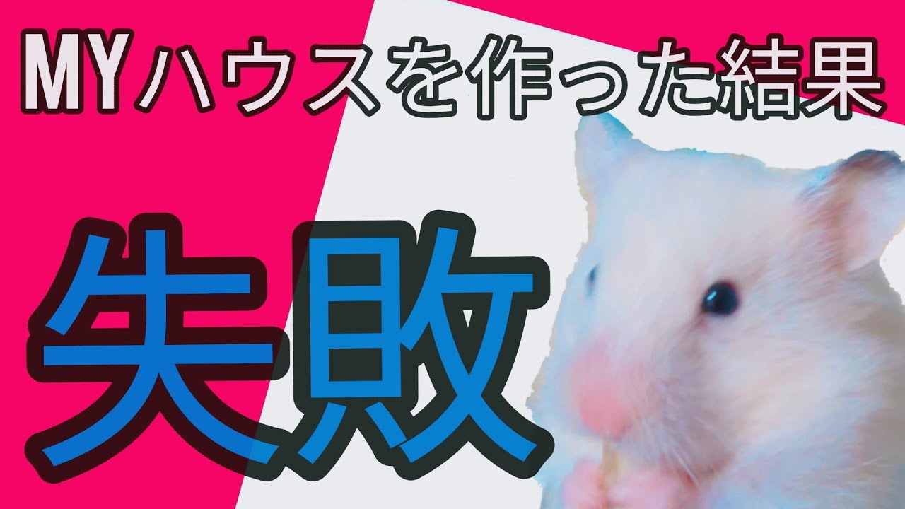 最後まで見て頂きたい ティッシュを家に詰めすぎた結果 入れなくなったハムスターがとった行動が可愛すぎる Youtube