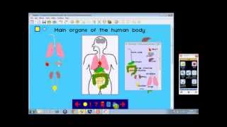 Humans as Organisms
