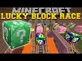 Minecraft: ROLLER COASTER MINE LUCKY BLOCK RACE - Lucky Block Mod - Modded Mini-Game