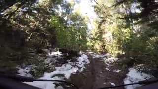 Mountain Bike - Parnitha Snow Trail 11/1/2015