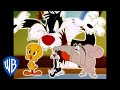 Looney Tunes | Catching Tweety | Classic Cartoon Compilation | WB Kids