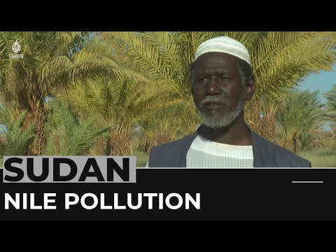 Sudan Nile pollution: Gold mining waste affects farming communities