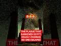 😱 PLAGUE 4 OF 10 | THE DEADLY SWARM THAT DEVOURED EGYPT! 🔥