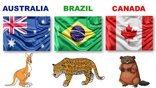 Countries of the world  | ABC Countries with National Animals,  Capital Cities and Flags