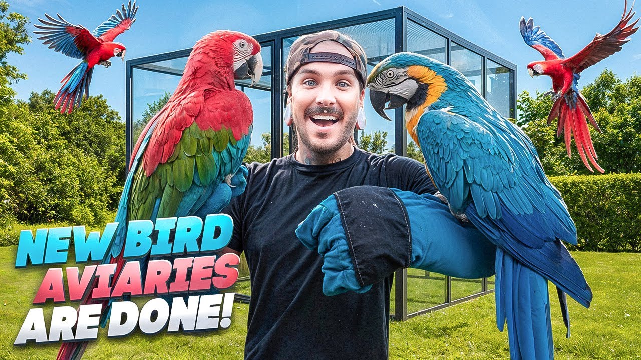 After YEARS... My Macaws Finally Move Into Their New Avairies!!!