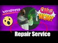 Wordpress homepage repair service with absolut lowprice warranty