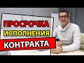 Госзакупки. Тендеры. Просрочка поставки по 44 ФЗ. Начисление пени за просрочку