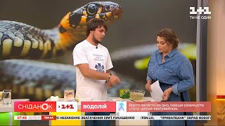 Что делать при укусах змей, пчел и клещей: советы от председателя Всеукраинского союза парамедиков