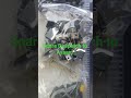 #electronicmusic #mosfet #capicitor #relay #drivercard #83202 #3021 #4132 #48n60m2 #Socket #fuse