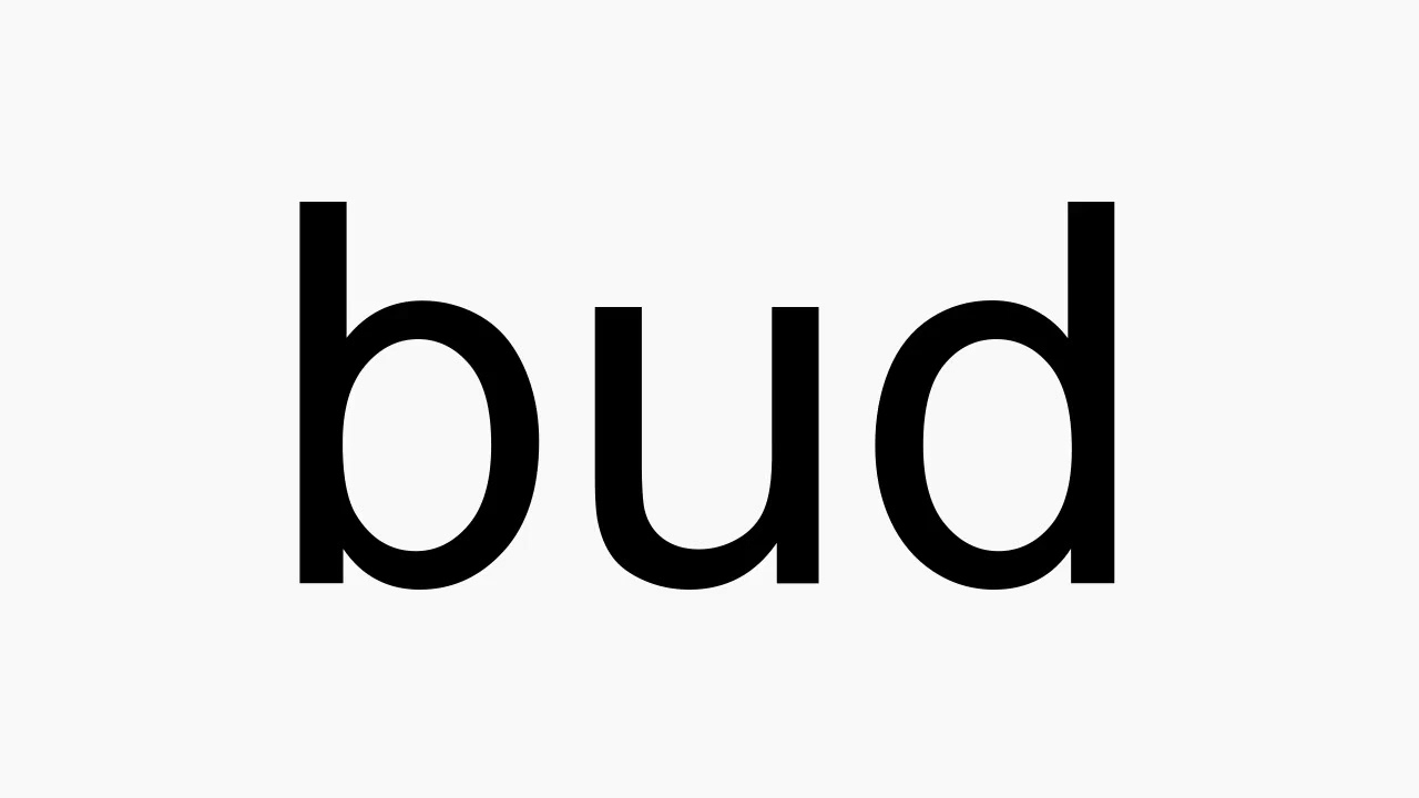 How to pronounce bud YouTube