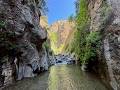 Big Narrows Adventure up Agua Blanca Creek! One to Remember