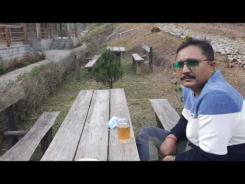Eco log hut resort