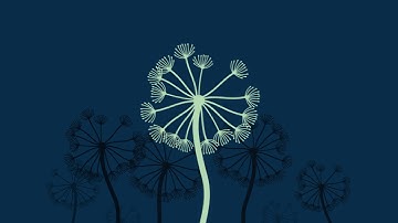 Anti-Bribery and Corruption Module