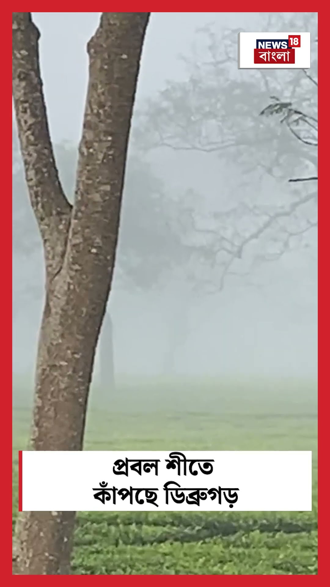 প্রবল শীতে কাঁপছে Assam এর Dibrugarh  | N18S #shorts