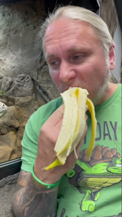 Sharing is caring#rhinoiguana#iguana#reptile#discovery#animals#status#viral#short#story#banana#4u###