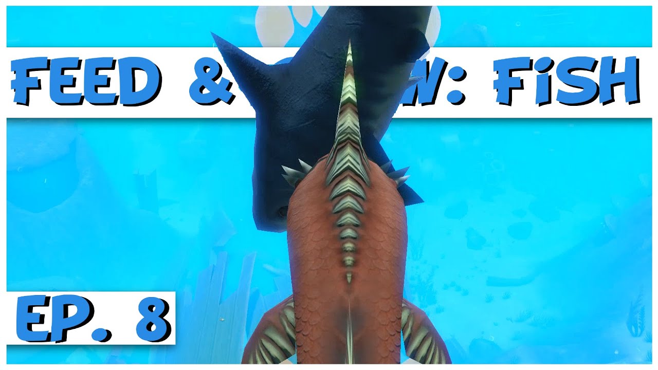 8 EP - FEED AND GROW FISH #sobrevivência #feedandgrowfish  #feedandgrowfishgameplay#peixes 