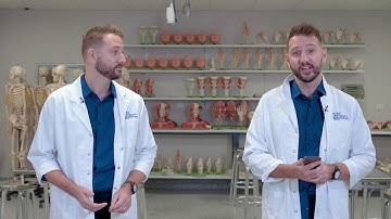 An Expert Explains: Do identical twins have the same fingerprints?