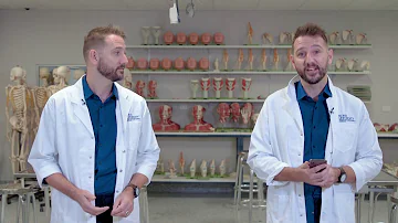 Do conjoined twins share the same DNA?