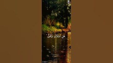 قَالَ لَا تَخۡتَصِمُواْ لَدَيَّ وَقَدۡ قَدَّمۡتُ إِلَيۡكُم بِٱلۡوَعِيدِ - القارئ إسلام صبحي