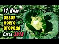 ОБЗОР ОГОРОДА в июле. Мои грядки после 10 холодных дней