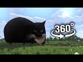 Minecraft 360° VR Maxwell Cat