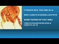 Flea-borne typhus cases reportedly on the rise, Louisiana health officials say