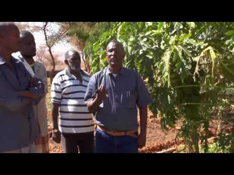 Wararka Beeraha Xudun ee Isuduwaha SL camera iphone 8 plus apk