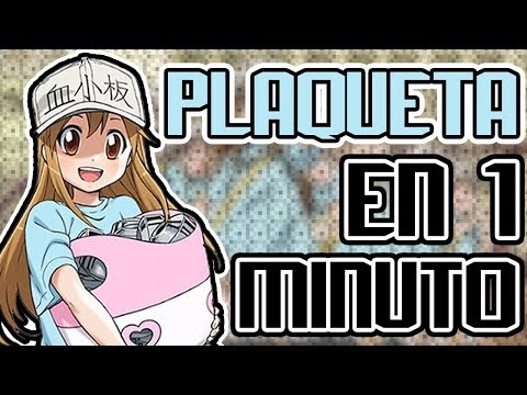 PLAQUETA CHAN EN 1 MINUTO!!
