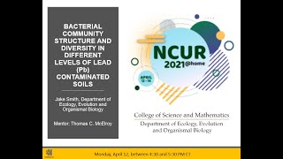 NCUR 2021 Poster