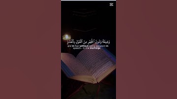 قارئ ياسر دوسري