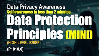 Data Protection Principles - High Level (P1010.0)