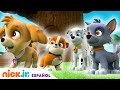 PAW Patrol | ¡Los cachorros salvan el día! Compilación de 20 minutos | Nick Jr. en Español