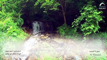111 سورة المسد - القارئ : أحمد ديبان
