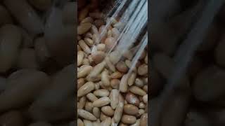কাঁঠালের বিচি কয়েক মাস সংরক্ষণ করার প্রসেস চলছে #vlog #nature #lifeisbutadream #comedymusic #musi