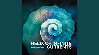 Luminous Orbit Field