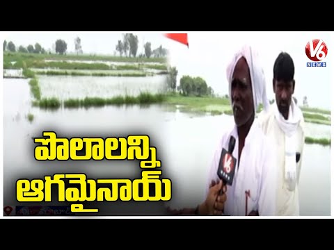 Agricultural Lands Submerge After Heavy Rains In Nizamabad | Telangana Rains | V6 News - V6NEWSTELUGU