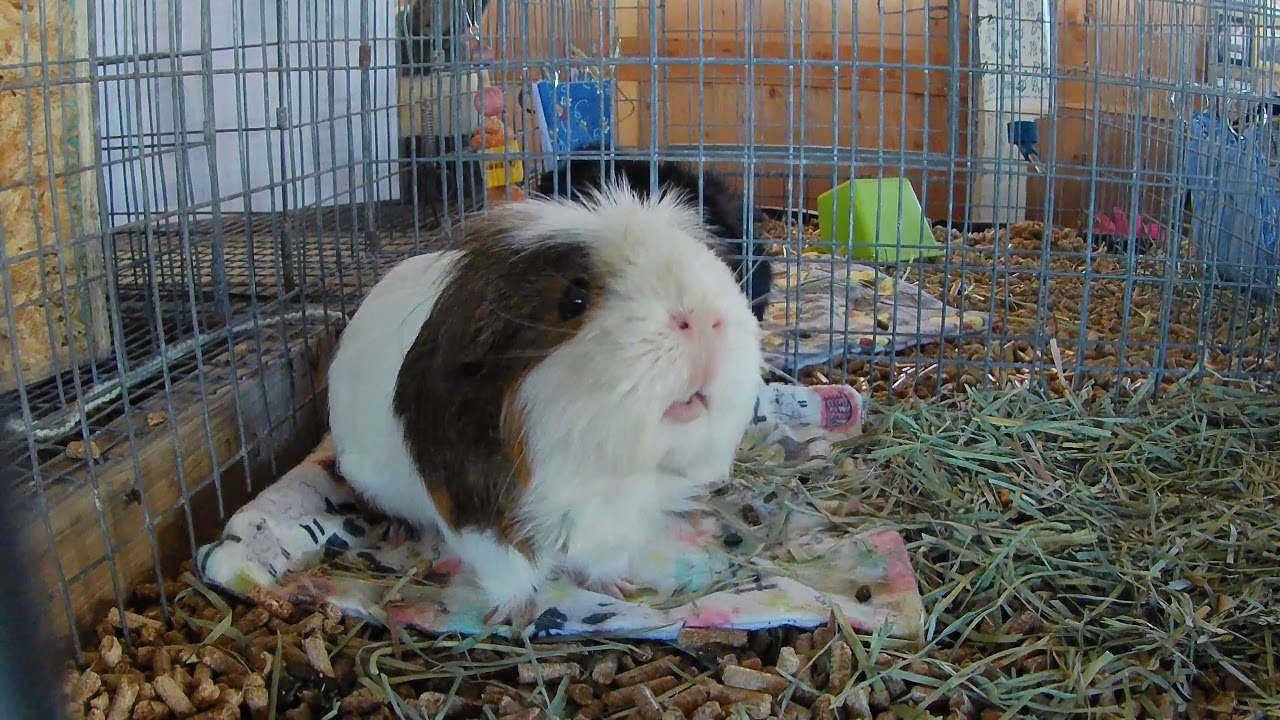 2019 Washington County  Oregon Fair