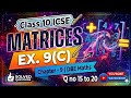 Class10 ICSE Maths Matrices chapter 9 Matrices Ex 9 C 15 to 20 Dbe Maths