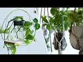 8 Fun Ways To Up Your Plant Game の動画、YouTube動画。