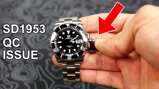 DO NOT Buy a STEELDIVE Watch Until You Watch This Video