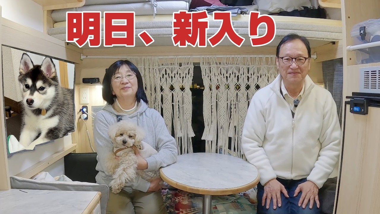 【前乗り車中泊】明日は家族の新入り、柴×ハスキー子犬と初対面