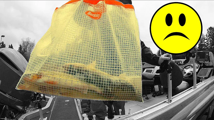 ABOUT THIS BAG OF FISH...  ( WALLEYE TOURNAMENT!!! )