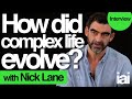 How complex life evolved | Nick Lane