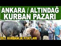 ALTINDAĞ KARAPÜRÇEK KURBAN PAZARI 2021 KURBANLIK FİYATLARI / 6.500 - 28 BİN TL ARASI BÜYÜKBAŞ KURBAN