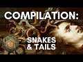 Compilation: All About the Symbolism of Snakes & Tails | Jonathan Pageau