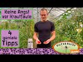 4 einfache Tipps um Krautfäule bei Deinen Tomaten zu verhindern