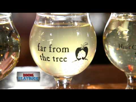 Far From the Tree Cider