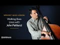 Upright bass lesson walking bass lines with john patitucci  artistworks