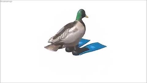 duck spinning to geometry dash music (loop)