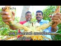 ഒരു യമണ്ടൻ ഞണ്ടിനെ പിടിച്ചു കറി വച്ചേ... /giant mud crab catch and cook